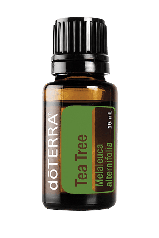 Tea Tree Essential Oil