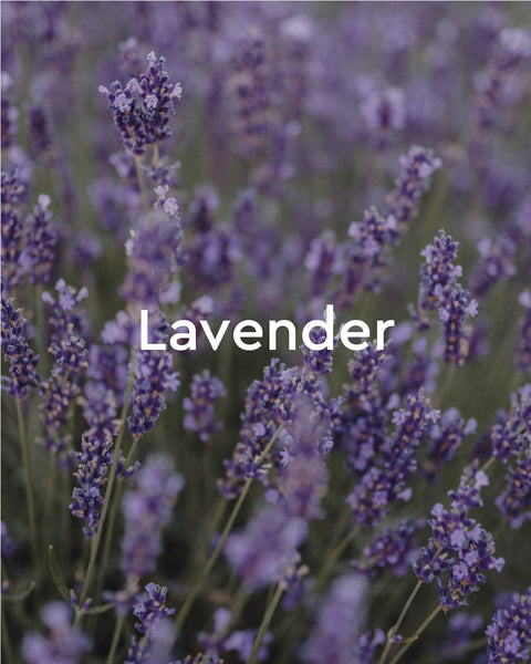 Relaxing Bath Oil with Lavender